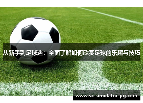 从新手到足球迷:全面了解如何欣赏足球的乐趣与技巧 从新手到足球迷:全面了解如何欣赏足球的乐趣与技巧