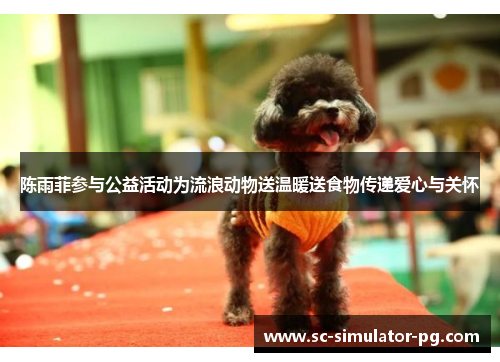 陈雨菲参与公益活动为流浪动物送温暖送食物传递爱心与关怀 陈雨菲参与公益活动为流浪动物送温暖送食物传递爱心与关怀