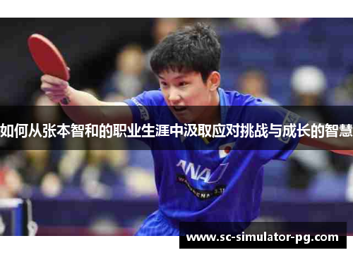 如何从张本智和的职业生涯中汲取应对挑战与成长的智慧