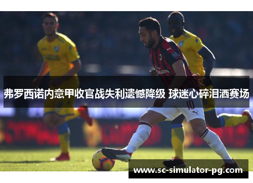 弗罗西诺内意甲收官战失利遗憾降级 球迷心碎泪洒赛场 弗罗西诺内意甲收官战失利遗憾降级 球迷心碎泪洒赛场
