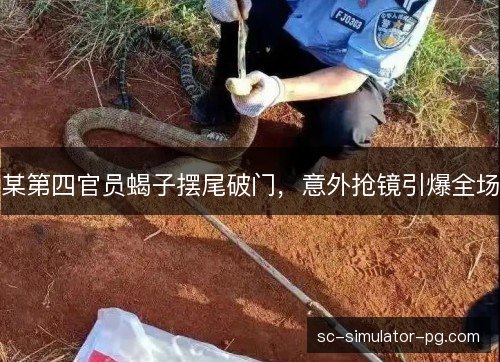 某第四官员蝎子摆尾破门，意外抢镜引爆全场